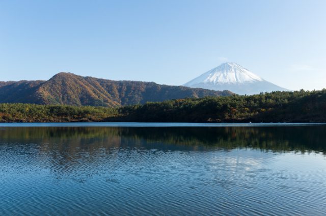 ワインを飲んで泊まれる！全国の宿泊できるワイナリーまとめ 山梨県イメージ画像