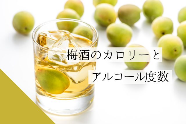 飲みやすさにご注意！梅酒のカロリーとアルコール度数について