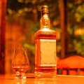 世界5大ウイスキーを探ろう！カナディアンウイスキーの歴史や特徴、おすすめ銘柄を紹介