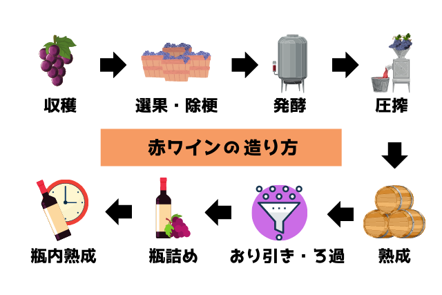 黒ぶどう品種とは？赤ワインの代表的なぶどうの特徴や選び方を紹介 イメージ画像2