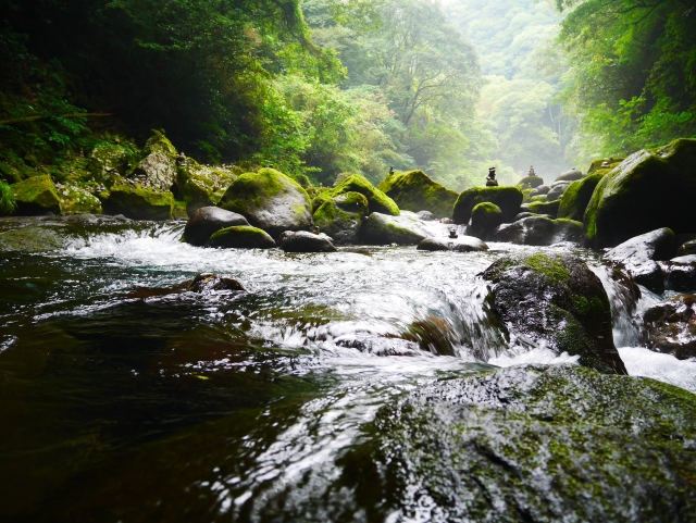 小説家を口説き落とした焼酎 百年の孤独 とは Sake Mania