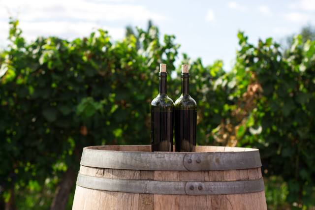 カルフォルニアの人気おすすめワイン10選│アメリカワインの歴史や代表的な産地、ぶどう品種を紹介　イメージ画像