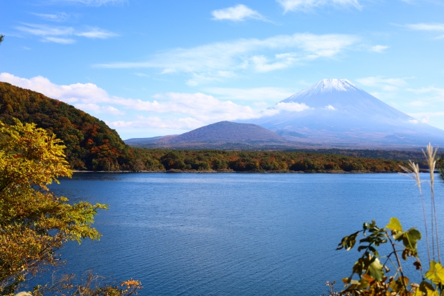 日本ワイン発祥の地～山梨県のワインおすすめ銘柄10選