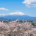 岩手の日本酒を厳選ピックアップ!!【銘酒シリーズ】