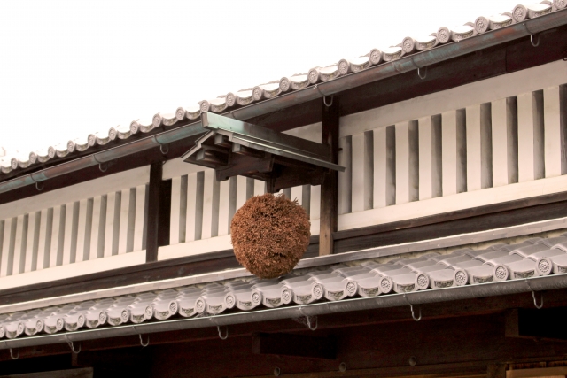 仙境の名を冠した日本酒「蓬莱泉」とは？こだわりと銘柄を紹介 イメージ画像2