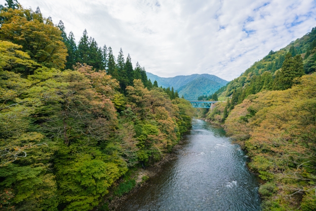 北陸唯一のウイスキー蒸留所「三郎丸」とは？特徴や歴史、商品の種類を紹介 イメージ画像2