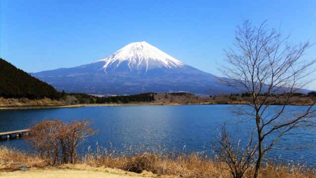 日本にあるウイスキーの蒸溜所まとめ！世界に誇るジャパニーズウイスキーを堪能しよう イメージ画像12