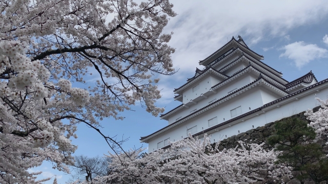 不動の東北ウイスキー「山桜」の歴史やおすすめ商品を紹介イメージ画像2