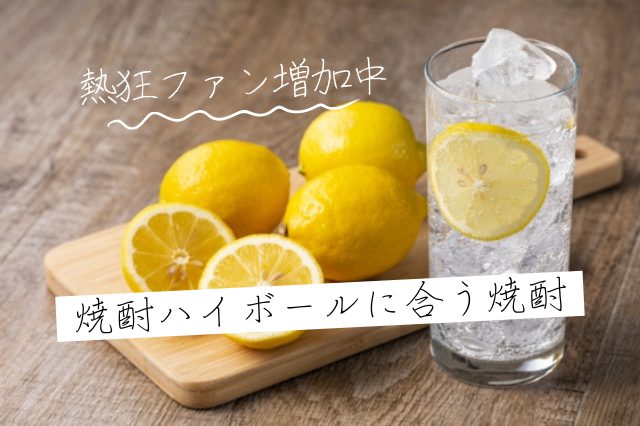 熱狂ファン増加中！焼酎ハイボールにはどんな焼酎が合うのか？