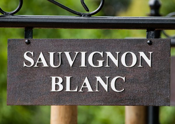 ソーヴィニヨン・ブランの人気白ワインおすすめ11選！品種の特徴や産地、合う料理を紹介 イメージ画像