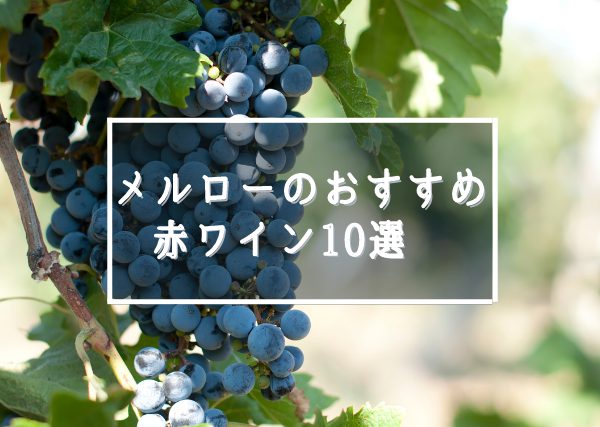 人気品種メルローのおすすめ赤ワイン10選！特徴と産地、選び方を解説