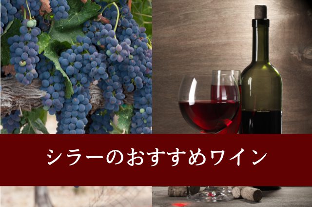 シラーのおすすめワイン10選！味わいと代表的な産地、選び方から合う料理まで紹介